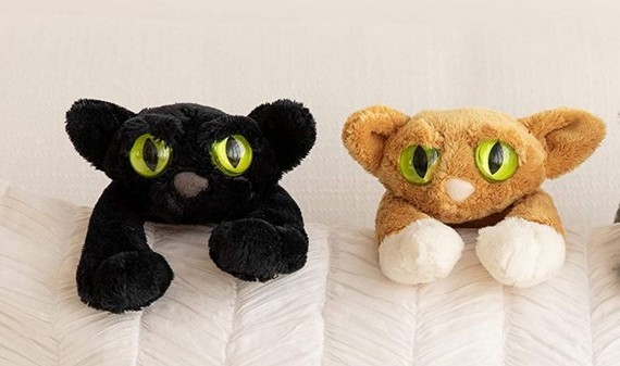 image de la Collection 